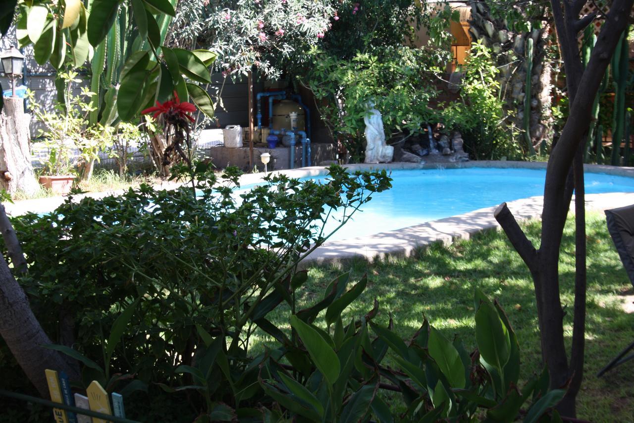 Tikay Suite Hotel Copiapo Exterior photo
