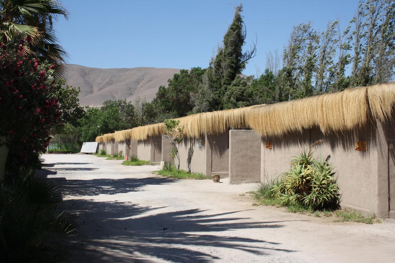 Tikay Suite Hotel Copiapo Exterior photo