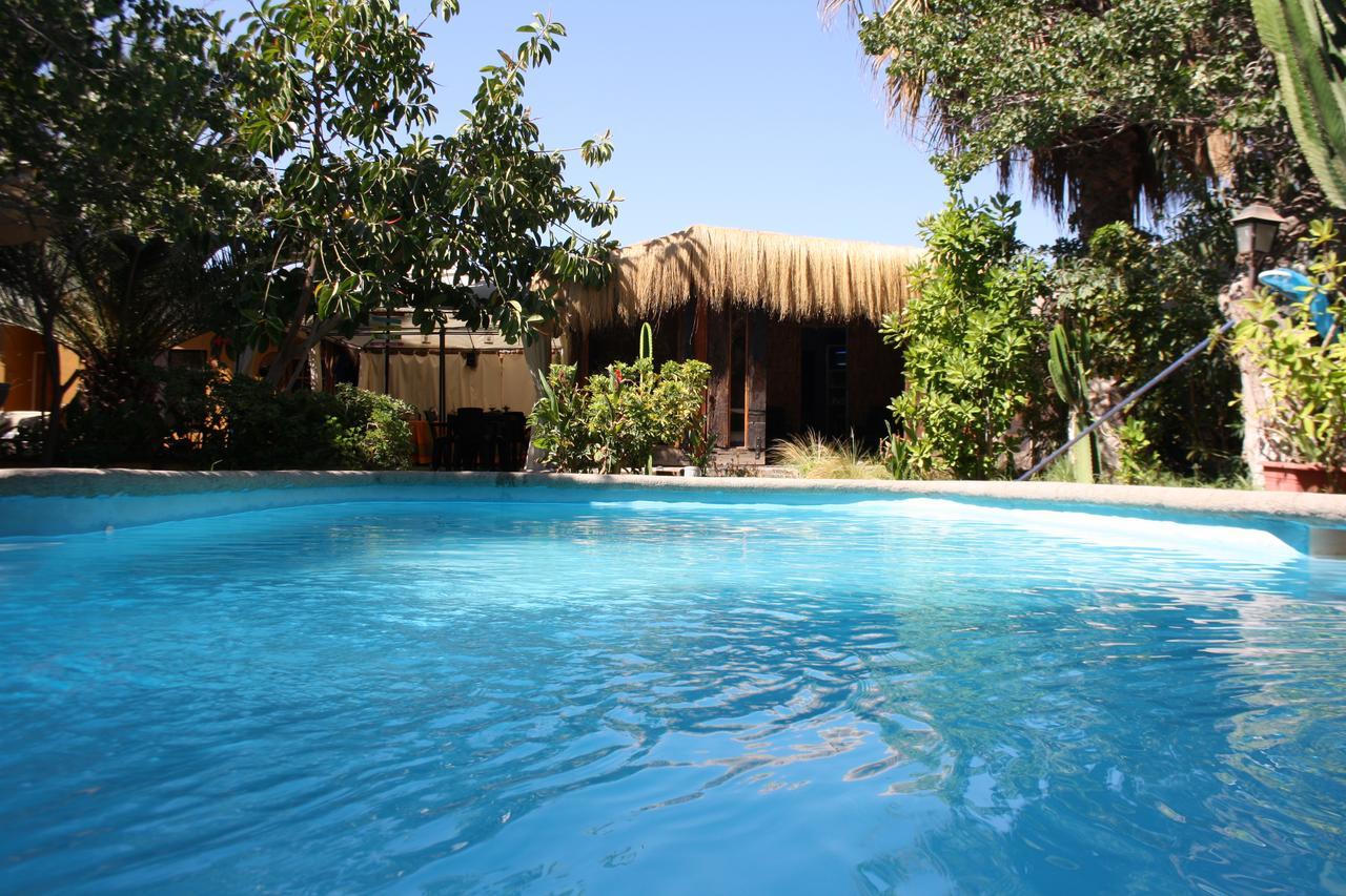 Tikay Suite Hotel Copiapo Exterior photo